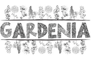 Gardenia LF: A Delicate yet Daring Typeface for Creative Projects
