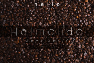 Halmondo Font: A Modern Typeface for Web Design Projects