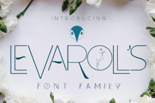 Leva Rolls: A Delicate Typeface for Botanical Branding