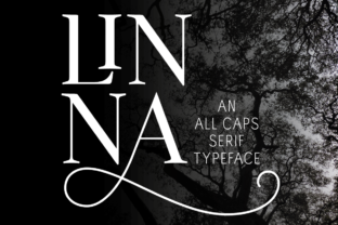 Linna Typeface: A Polished Font for Small Business Branding