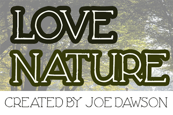 Love Nature Font: A Playful Serif for Digital Design