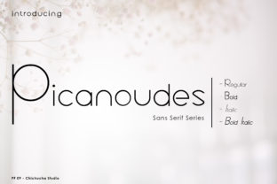 Picanoudes: A Sleek and Confident Sans Serif Typeface for Modern Branding