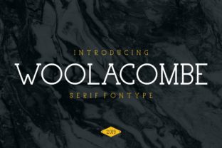 Woolacombe Typeface: A Polished Choice for Small Business Branding